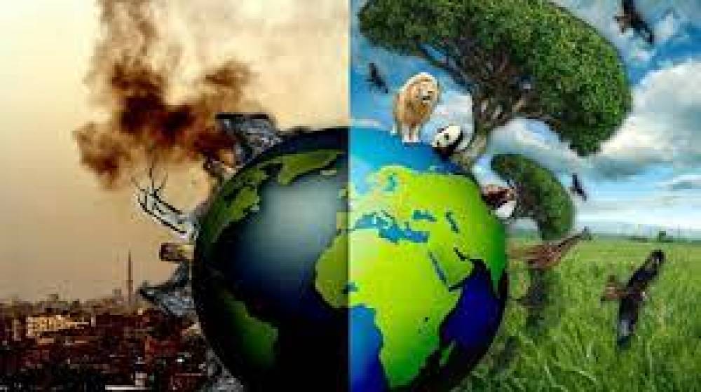 تعرف على أنواع التلوث البيئي وأضراره