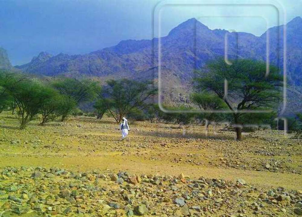 مطالب بفتح محمية جبل علبة لاستقبال رحلات سياحة السفاري